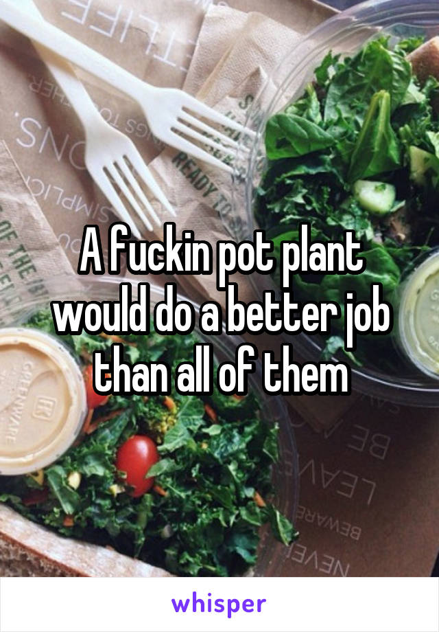 A fuckin pot plant would do a better job than all of them