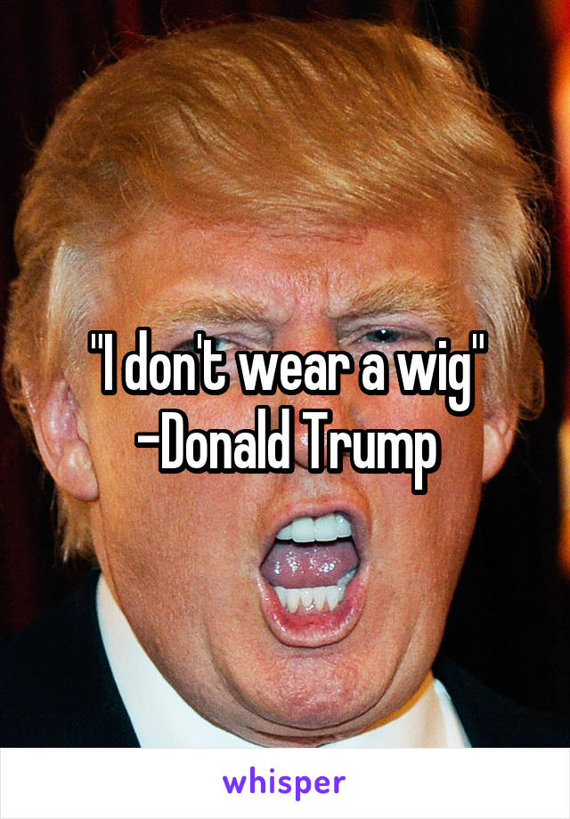 "I don't wear a wig" -Donald Trump