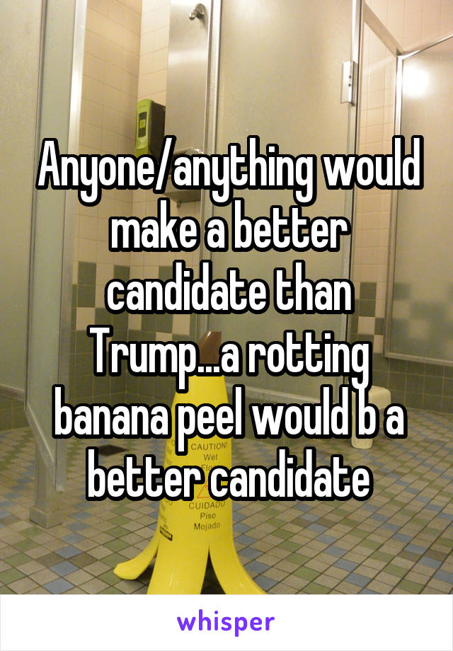 Anyone/anything would make a better candidate than Trump...a rotting banana peel would b a better candidate