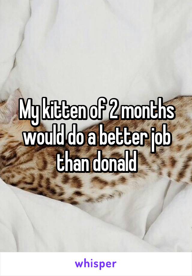 My kitten of 2 months would do a better job than donald