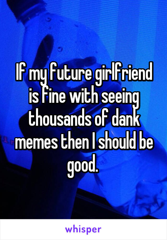 If my future girlfriend is fine with seeing thousands of dank memes then I should be good. 