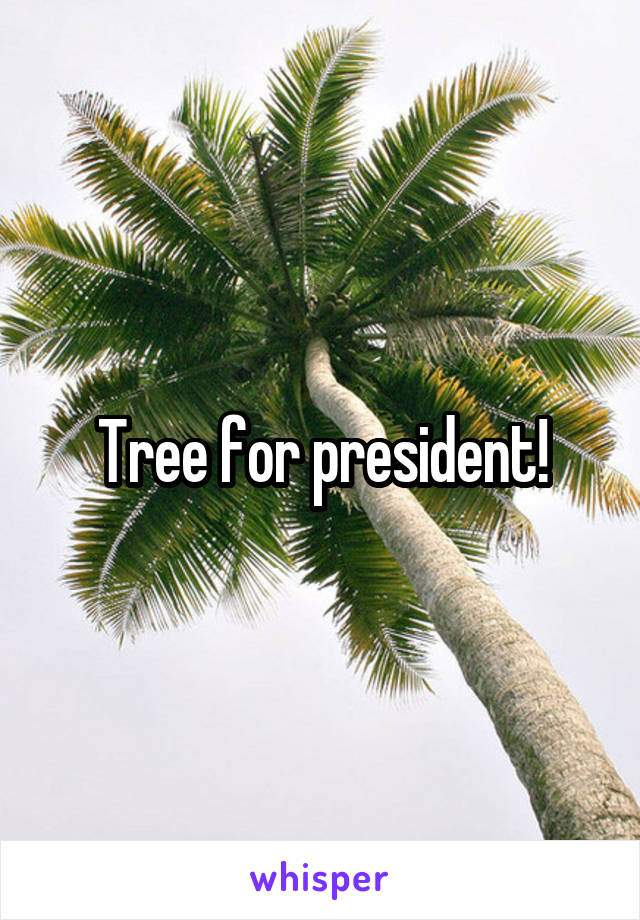 Tree for president!