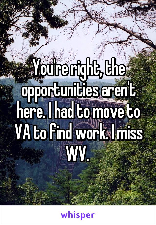 You're right, the opportunities aren't here. I had to move to VA to find work. I miss WV. 