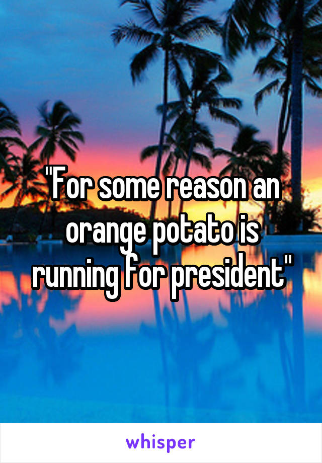 "For some reason an orange potato is running for president"