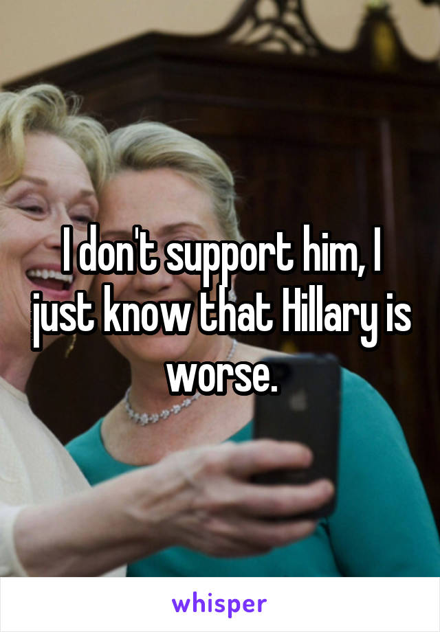 I don't support him, I just know that Hillary is worse.