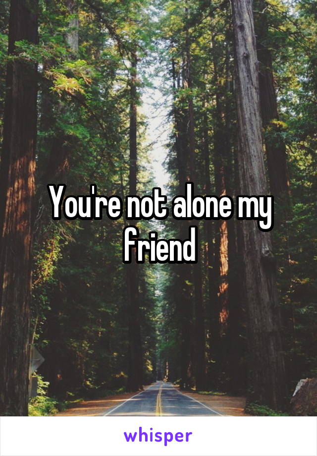 You're not alone my friend