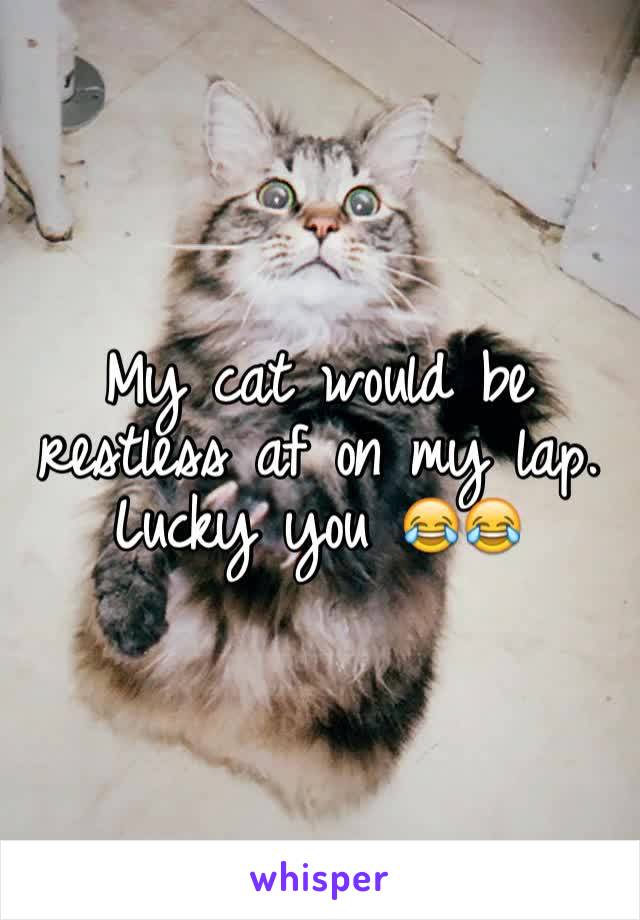 My cat would be restless af on my lap. Lucky you 😂😂