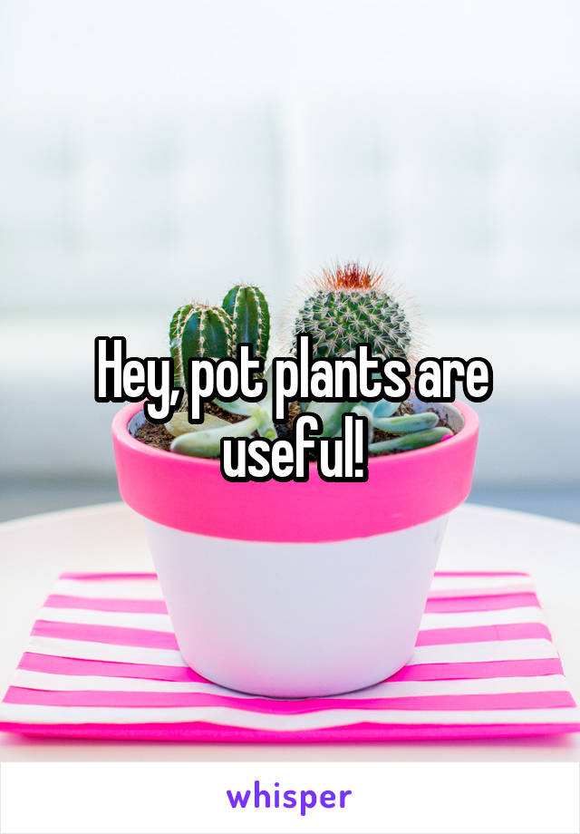 Hey, pot plants are useful!