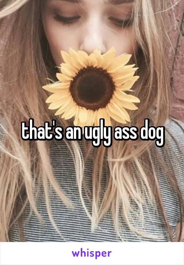 that's an ugly ass dog