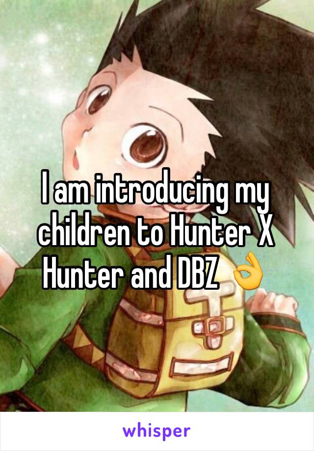 I am introducing my children to Hunter X Hunter and DBZ 👌
