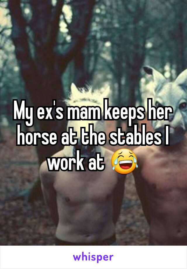 My ex's mam keeps her horse at the stables I work at 😂
