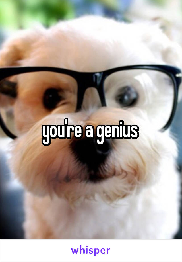 you're a genius 