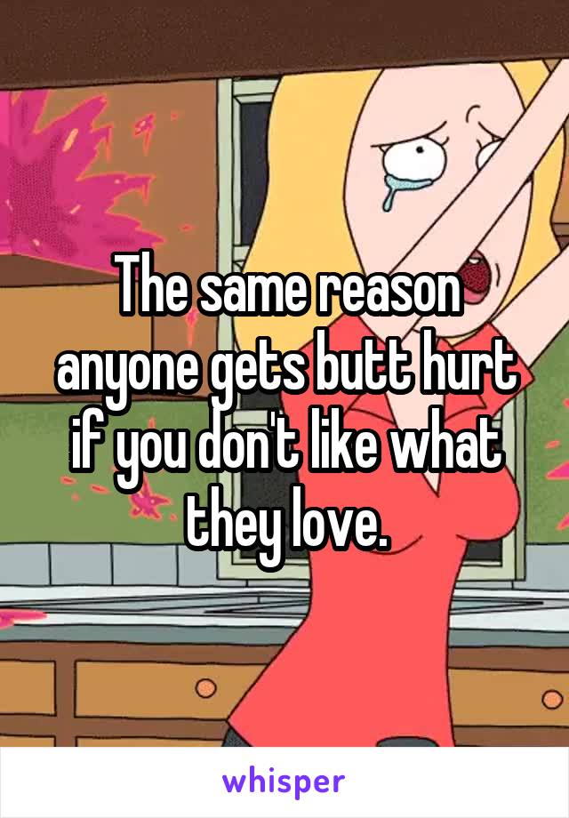The same reason anyone gets butt hurt if you don't like what they love.