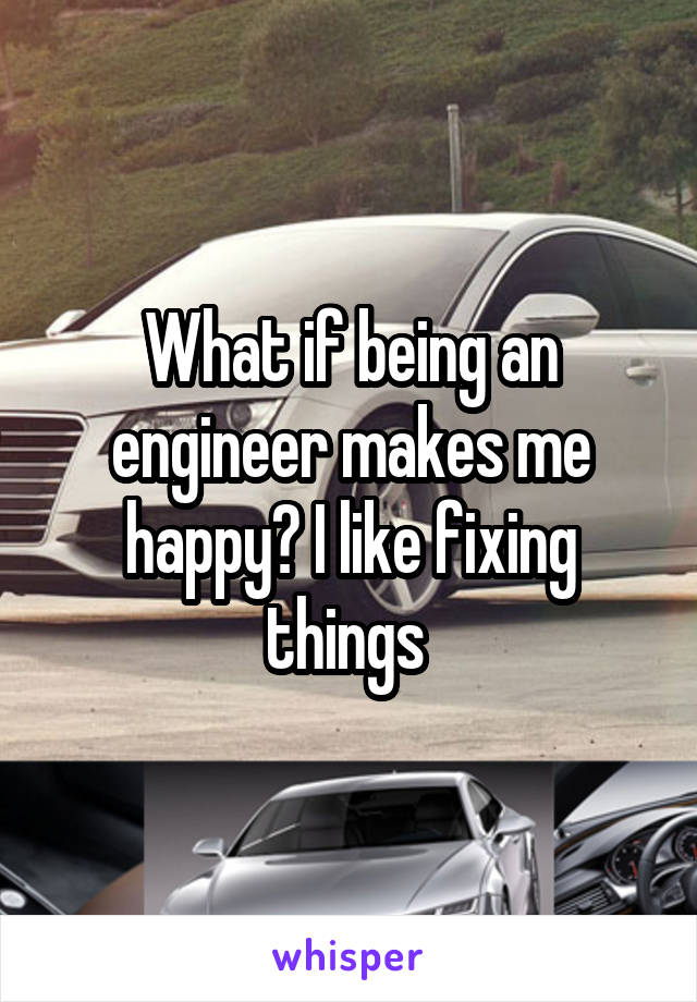 What if being an engineer makes me happy? I like fixing things 