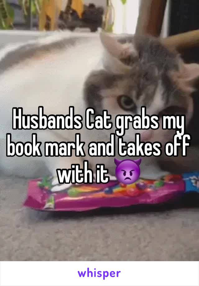 Husbands Cat grabs my book mark and takes off with it 👿