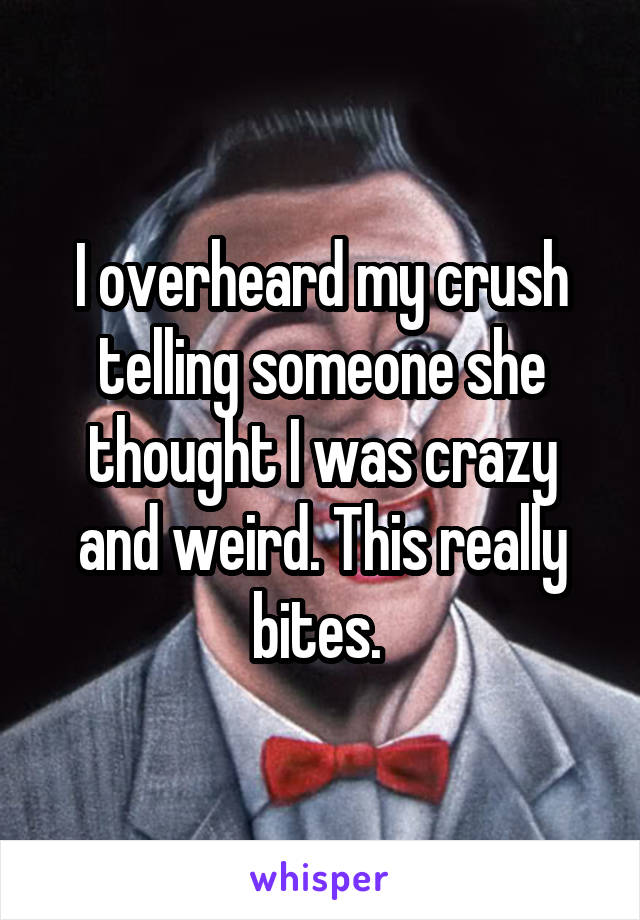 I overheard my crush telling someone she thought I was crazy and weird. This really bites. 