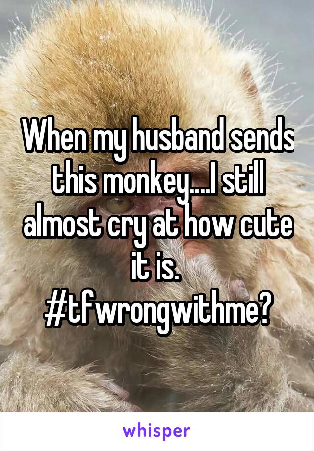 When my husband sends this monkey....I still almost cry at how cute it is.  #tfwrongwithme?