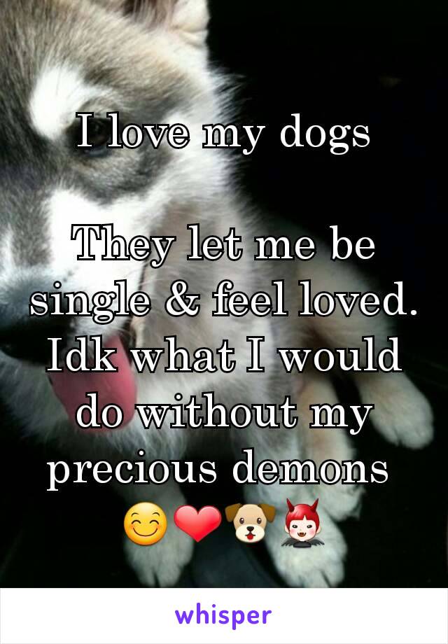 I love my dogs

They let me be single & feel loved. Idk what I would do without my precious demons 
😊❤🐶👿