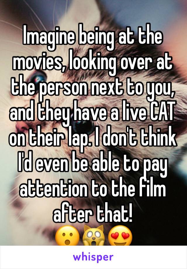 Imagine being at the movies, looking over at the person next to you, and they have a live CAT on their lap. I don't think I'd even be able to pay attention to the film after that!
😮🙀😍