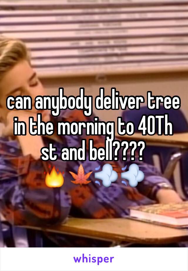 can anybody deliver tree in the morning to 40Th st and bell????
🔥🍁💨💨
