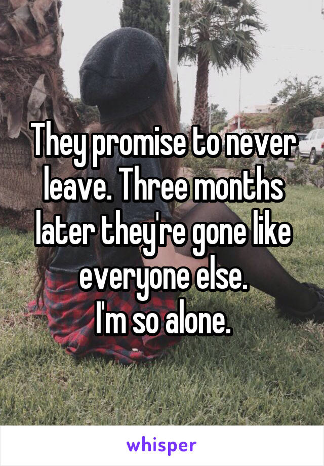 They promise to never leave. Three months later they're gone like everyone else.
I'm so alone.