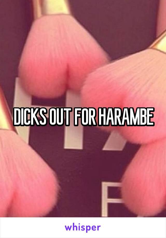 DICKS OUT FOR HARAMBE