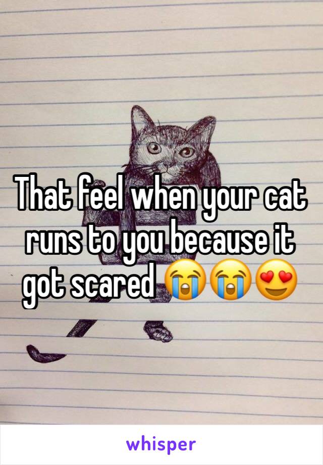That feel when your cat runs to you because it got scared 😭😭😍