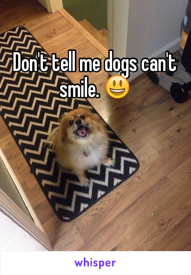 Don't tell me dogs can't smile. 😃




