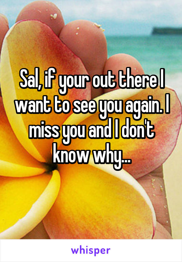 Sal, if your out there I want to see you again. I miss you and I don't know why...
