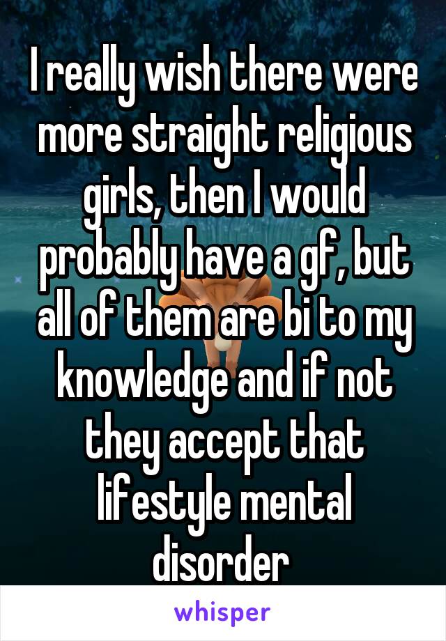 I really wish there were more straight religious girls, then I would probably have a gf, but all of them are bi to my knowledge and if not they accept that lifestyle mental disorder 