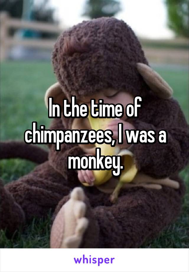 In the time of chimpanzees, I was a monkey.
