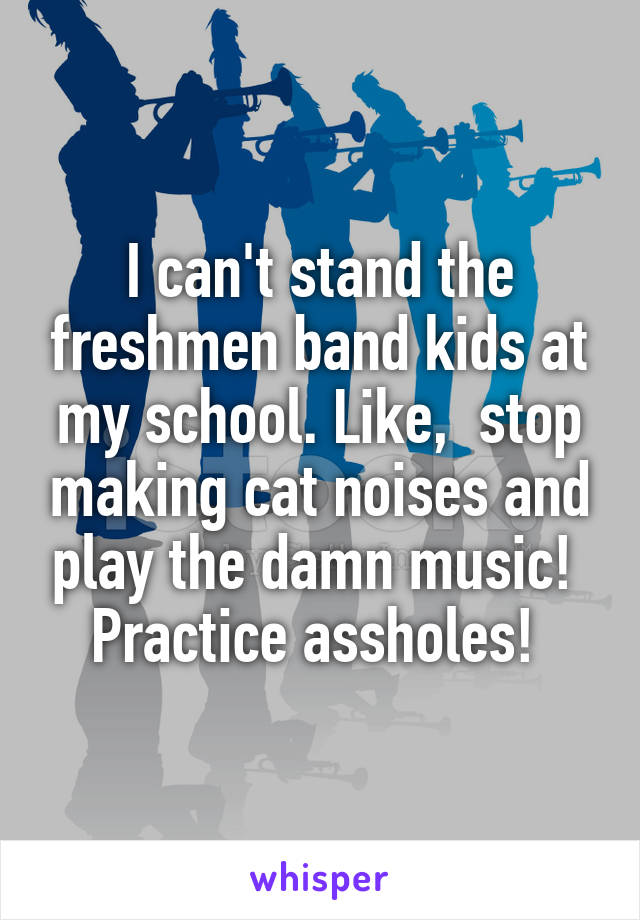 I can't stand the freshmen band kids at my school. Like,  stop making cat noises and play the damn music!  Practice assholes! 