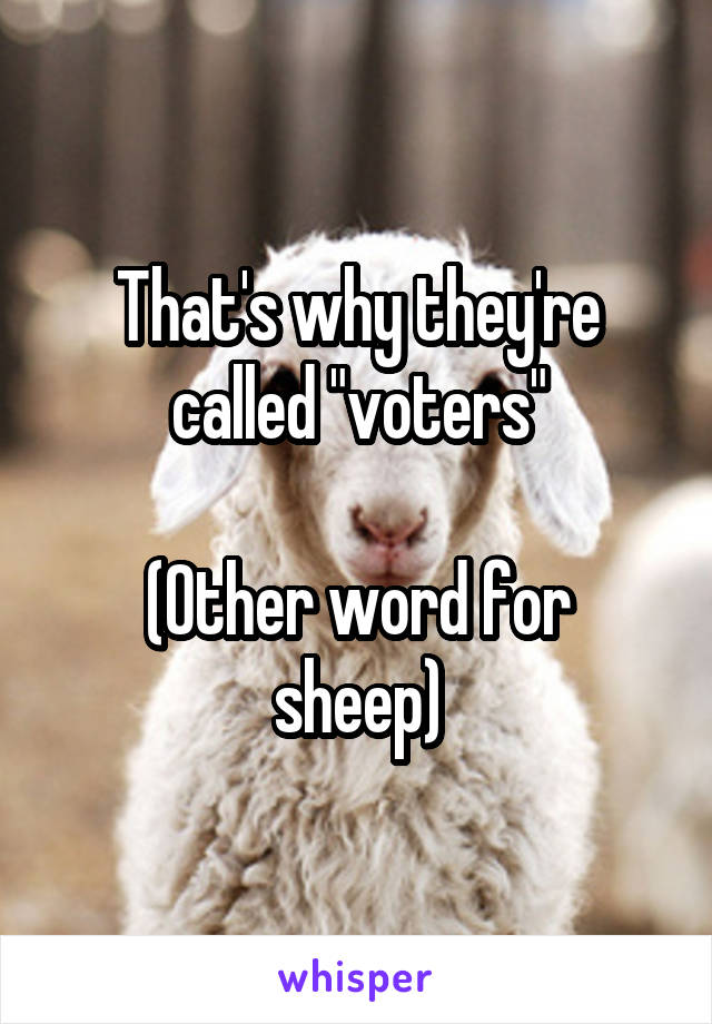 That's why they're called "voters"
 
(Other word for sheep)
