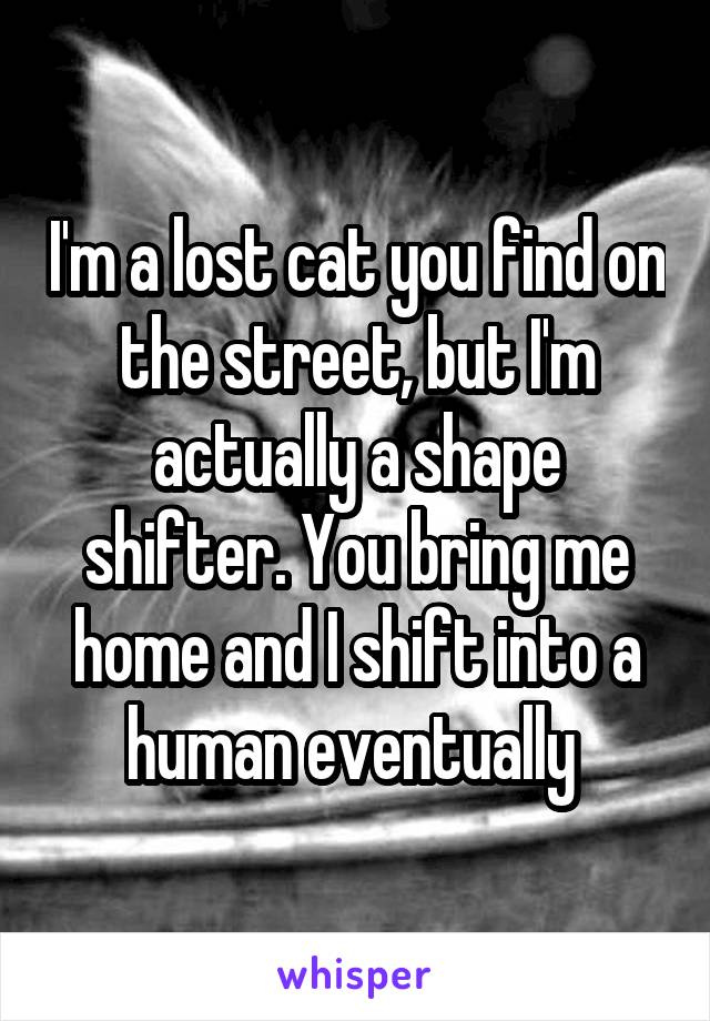 I'm a lost cat you find on the street, but I'm actually a shape shifter. You bring me home and I shift into a human eventually 