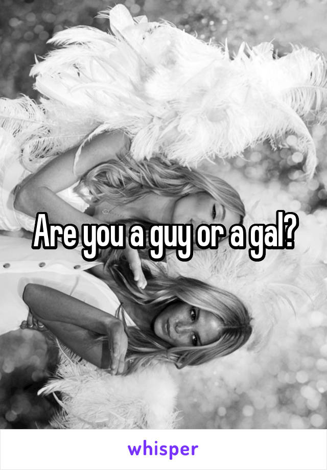 Are you a guy or a gal?