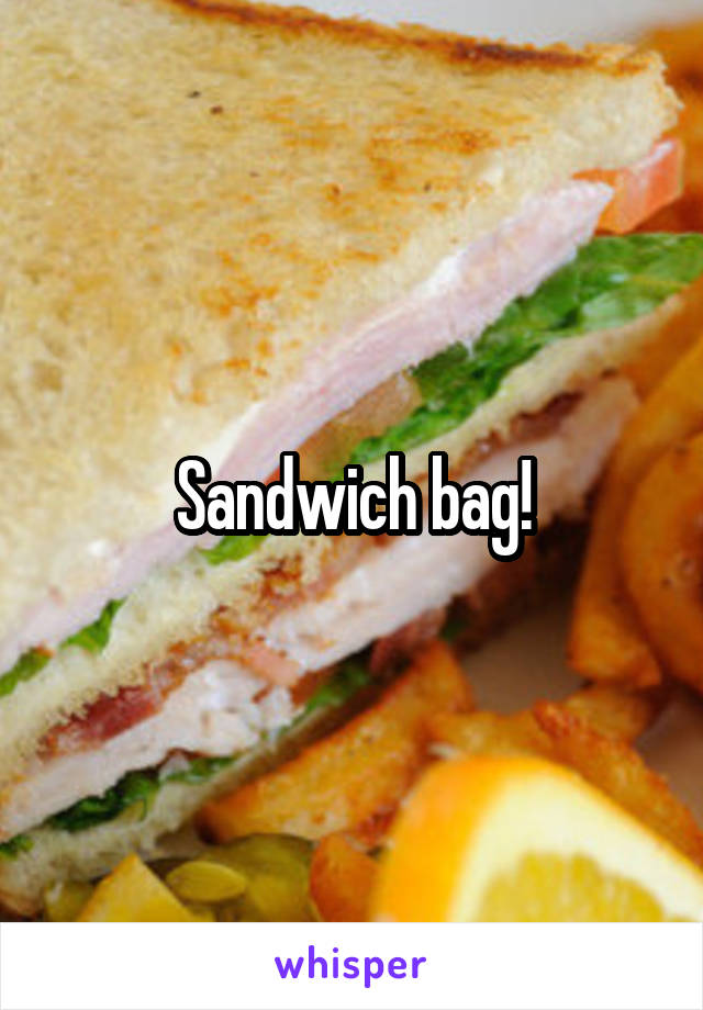 Sandwich bag!