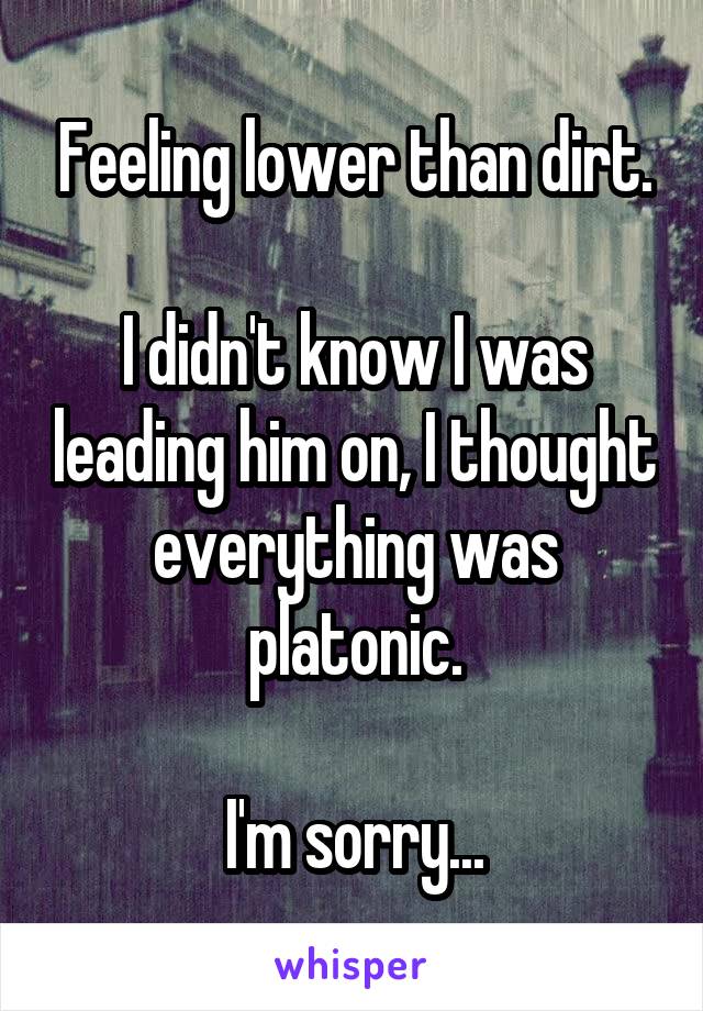Feeling lower than dirt.

I didn't know I was leading him on, I thought everything was platonic.

I'm sorry...