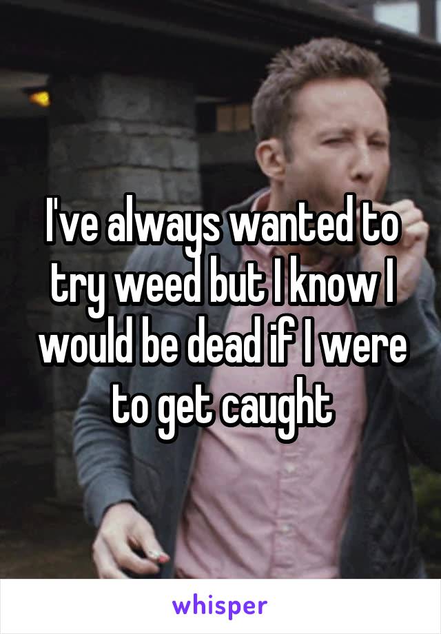 I've always wanted to try weed but I know I would be dead if I were to get caught