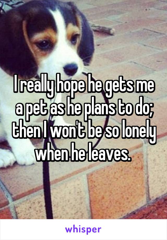 I really hope he gets me a pet as he plans to do; then I won't be so lonely when he leaves. 