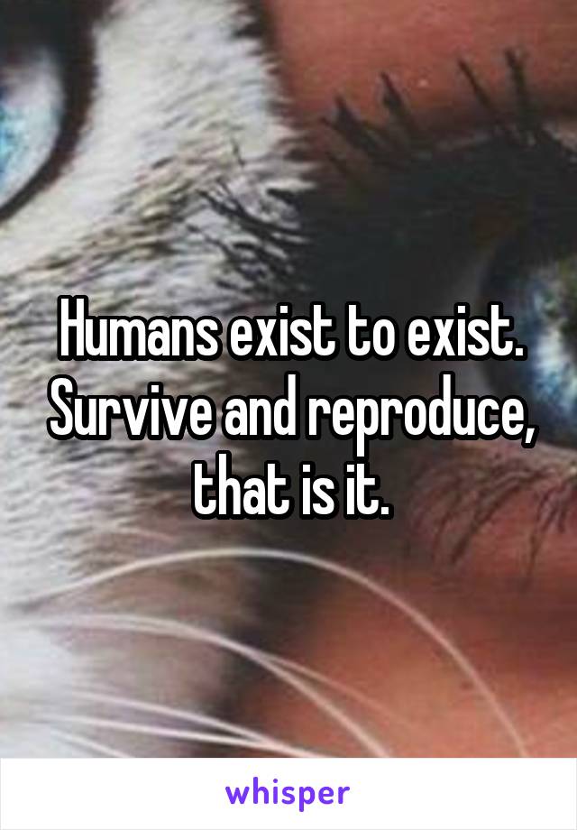 Humans exist to exist. Survive and reproduce, that is it.