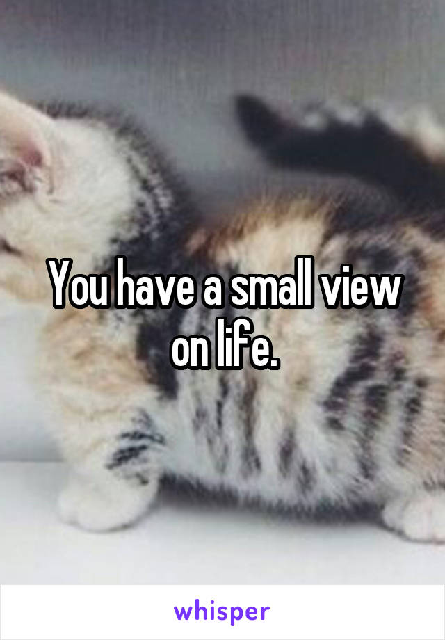 You have a small view on life.