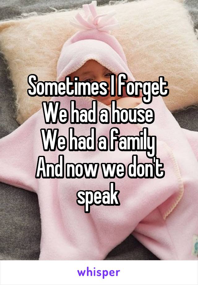 Sometimes I forget 
We had a house 
We had a family 
And now we don't speak 