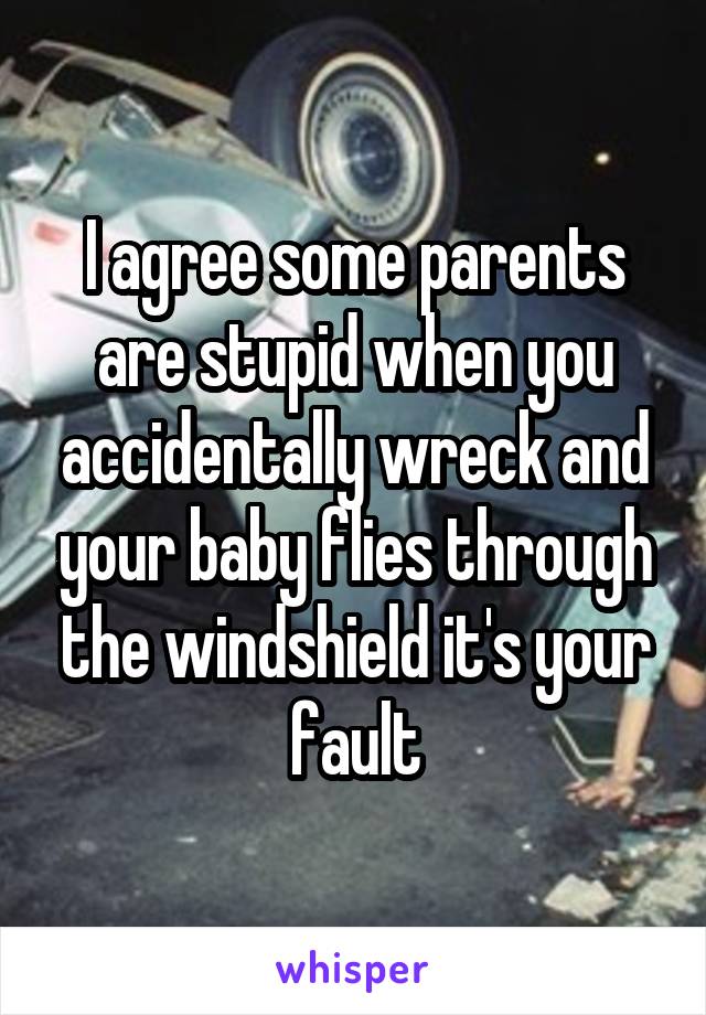 I agree some parents are stupid when you accidentally wreck and your baby flies through the windshield it's your fault