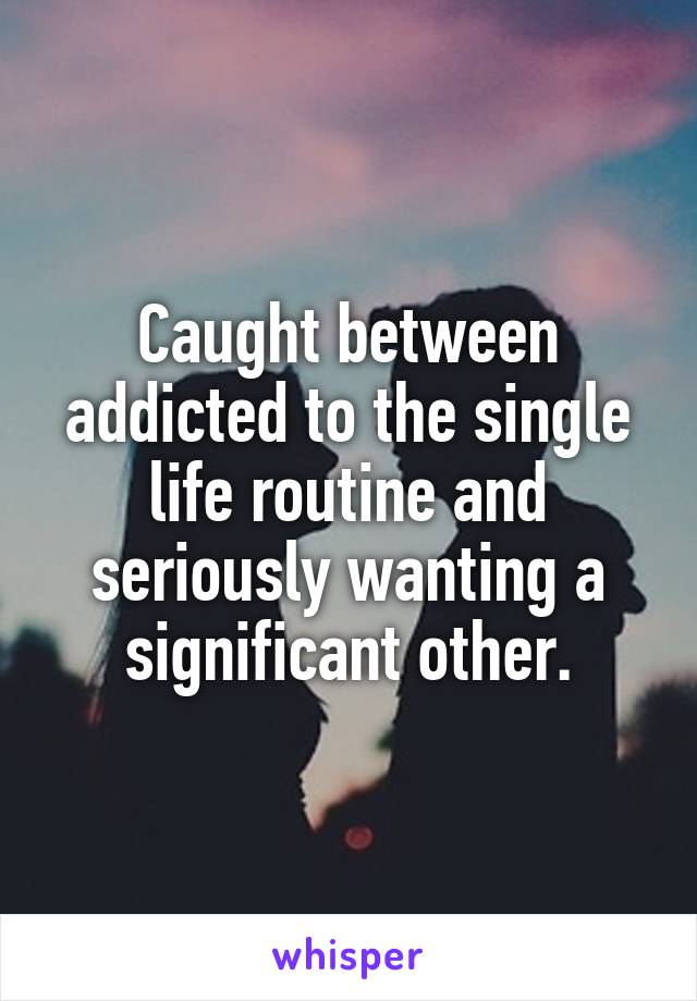 Caught between addicted to the single life routine and seriously wanting a significant other.