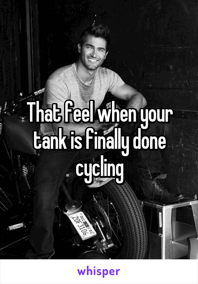 That feel when your tank is finally done cycling