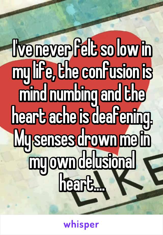 I've never felt so low in my life, the confusion is mind numbing and the heart ache is deafening. My senses drown me in my own delusional heart....