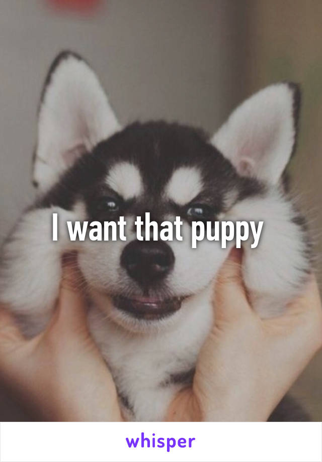 I want that puppy 