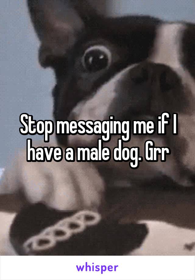 Stop messaging me if I have a male dog. Grr