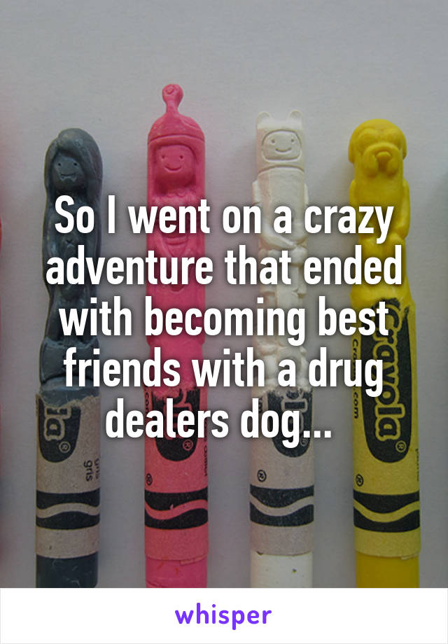 So I went on a crazy adventure that ended with becoming best friends with a drug dealers dog... 