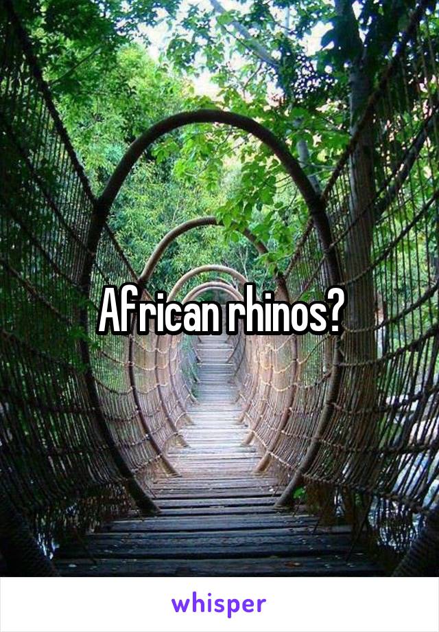 African rhinos?